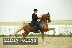 24R13_04432 thumbnail