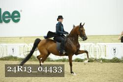 24R13_04433 thumbnail