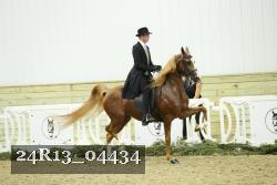 24R13_04434 thumbnail