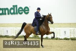 24R13_04435 thumbnail