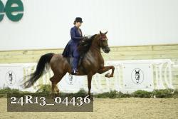 24R13_04436 thumbnail