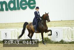 24R13_04437 thumbnail