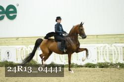 24R13_04441 thumbnail