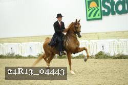 24R13_04443 thumbnail