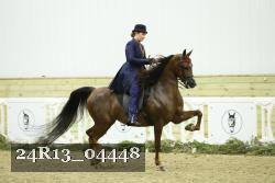 24R13_04448 thumbnail