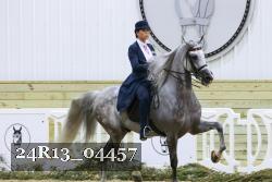 24R13_04457 thumbnail