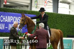 24R13_04460 thumbnail