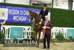 24R13_04464 thumbnail
