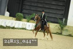 24R13_04477 thumbnail