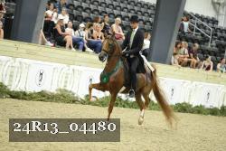 24R13_04480 thumbnail