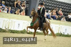 24R13_04481 thumbnail