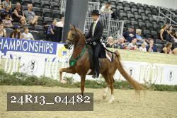 24R13_04482 thumbnail