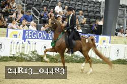 24R13_04483 thumbnail