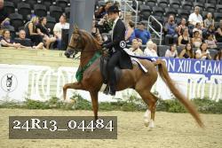 24R13_04484 thumbnail