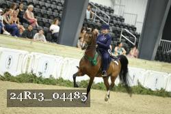 24R13_04485 thumbnail