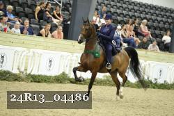 24R13_04486 thumbnail