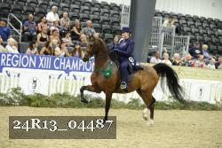 24R13_04487 thumbnail