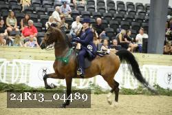 24R13_04489 thumbnail