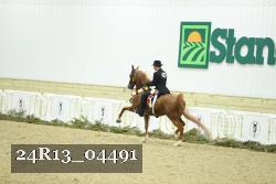 24R13_04491 thumbnail