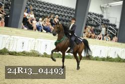 24R13_04493 thumbnail