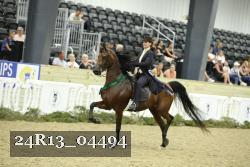 24R13_04494 thumbnail