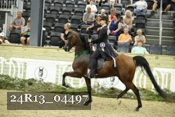 24R13_04497 thumbnail