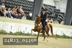 24R13_04498 thumbnail