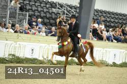 24R13_04501 thumbnail