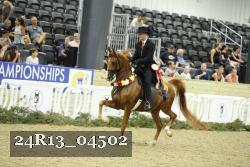 24R13_04502 thumbnail