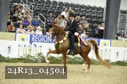 24R13_04504 thumbnail