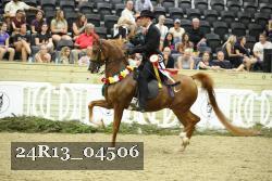 24R13_04506 thumbnail