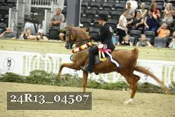 24R13_04507 thumbnail