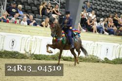 24R13_04510 thumbnail