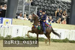 24R13_04512 thumbnail