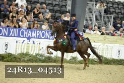 24R13_04513 thumbnail