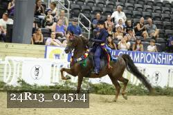 24R13_04514 thumbnail