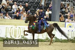 24R13_04515 thumbnail