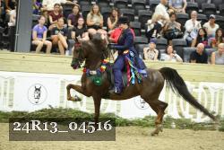 24R13_04516 thumbnail