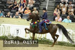 24R13_04517 thumbnail