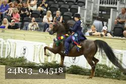 24R13_04518 thumbnail