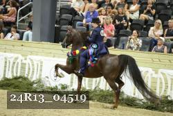 24R13_04519 thumbnail