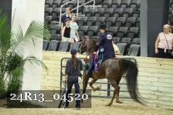 24R13_04520 thumbnail