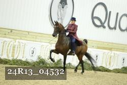 24R13_04532 thumbnail