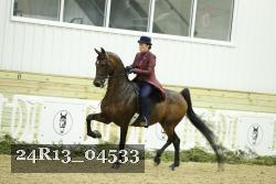 24R13_04533 thumbnail