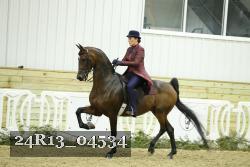 24R13_04534 thumbnail
