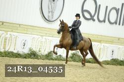24R13_04535 thumbnail