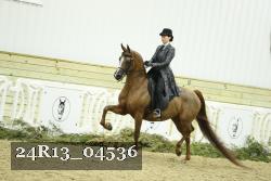 24R13_04536 thumbnail