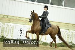 24R13_04537 thumbnail