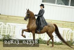 24R13_04538 thumbnail
