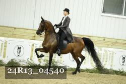 24R13_04540 thumbnail